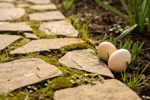 Two light brown eggs nestled in green grass beside a mossy stone path Stock Photos