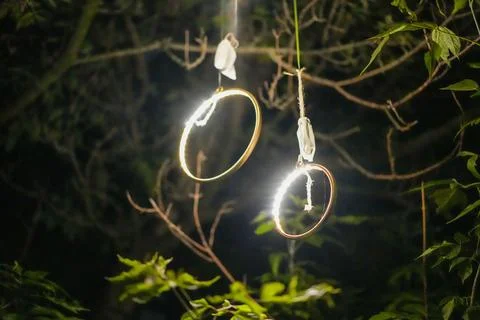 Two lighted rings hanging from a tree branch Stock Photos
