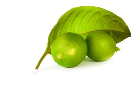 Two lime with leaf Stock Photos