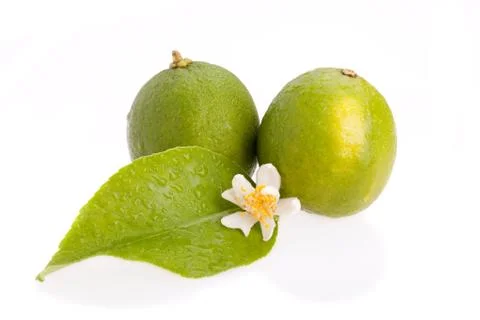 Two limes Stock Photos