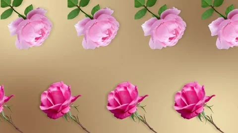 Two lines with many pink rose flowers animated Stock Footage 168328844