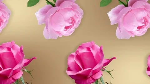 Two lines with many pink rose flowers animated Stock Footage 168329784