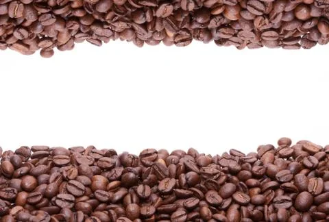 Two lines of roasted coffee beans イラスト素材