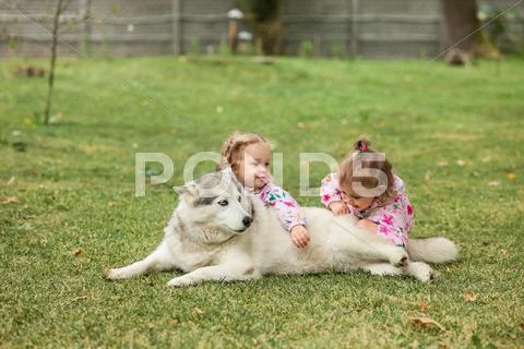 The two little baby girls playing with dog against green grass Stock Photos