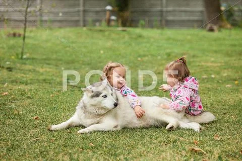The two little baby girls playing with dog against green grass Stock Photos