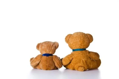 Two little bears Stock Photos
