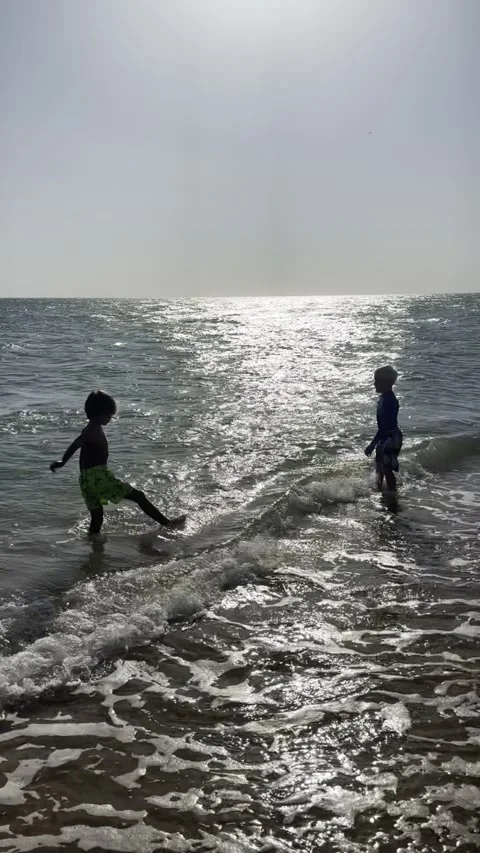 Two little boys playing on beach on summer holidays. Joyful children near sea Stock Footage 259465049