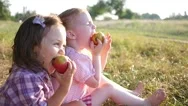 Two Little Cute Child Girls Portrait Funny Eat Red Apples On Nature Picnic Stock Footage