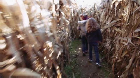 Two little girls running through a corn maze Stock Footage
