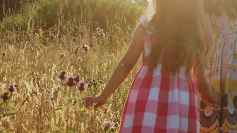 Two little girls walking through summer field Stock Footage 221237302