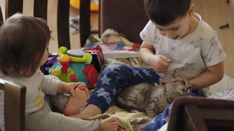 Two little happy kids playing with their cat on bed at home, in the morning Stock Footage 201951663