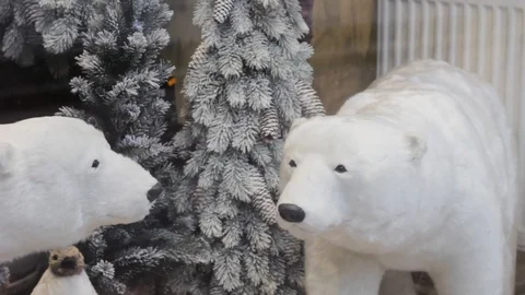 Two little polar bears reflected in the mirror. decoration.christmas white Stock Footage 120264724