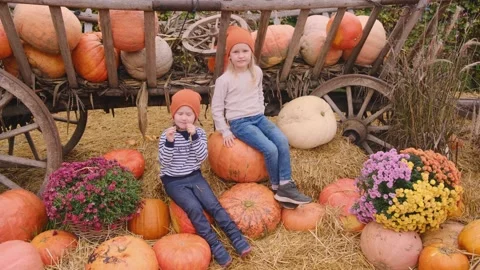 Two little sisters happy sit on pumpkins at the autumn pumpkin fair. Harvesting Stock Footage 231329784