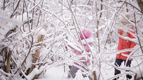 Two little sisters playing in the winter woods between snow-covered trees. The Stock Footage 71592712