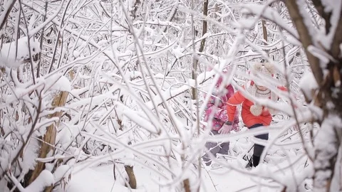 Two little sisters playing in the winter woods between snow-covered trees Stock Footage 71592715