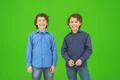 The two little twin stand on the green background Photo