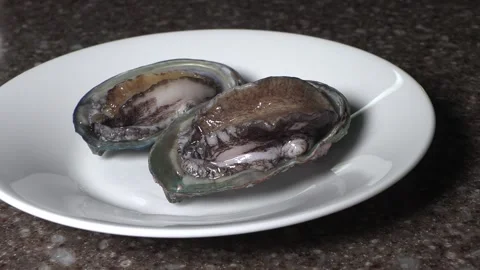 Two live abalone on a white plate. Stock Footage 293189294