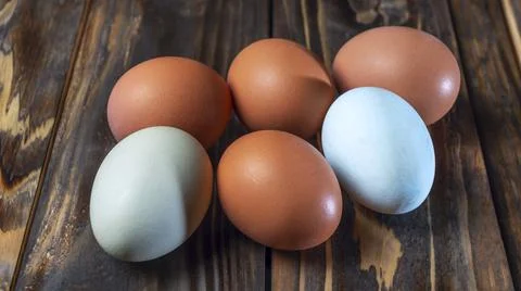 Two llight blue and four brown eggs. Easter Festival concepts. Araucana eggs  Stock Photos