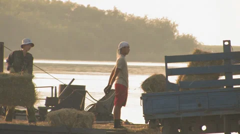 Two loaders are working hard with hay Stock Footage 35160550