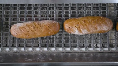 Two loaves of bread are on a conveyor belt Stock Footage 317455993
