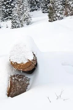 Two logs covered by the snow Stock Photos