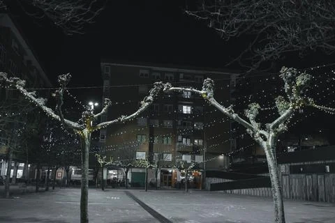 Two lonely leafless trees in a square at night Stock Photos
