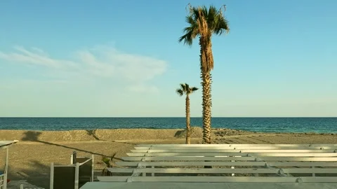 Two lonely palm trees on the beach Stock Footage 293291335