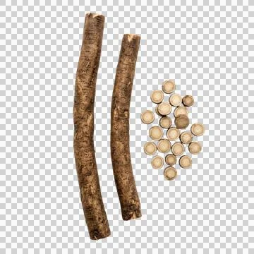 Two long burdock roots and pile of sliced pieces on transparent background. Stock-Fotos