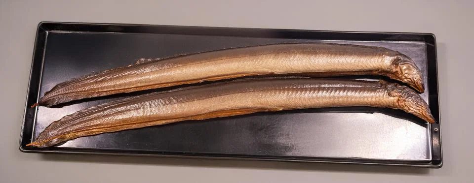 Two long eels are displayed on a black tray. The eels have shiny skin and are Foto stock