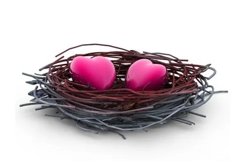 Two love hearts in being protected in a nest. Conceptual design Stock-Illustration