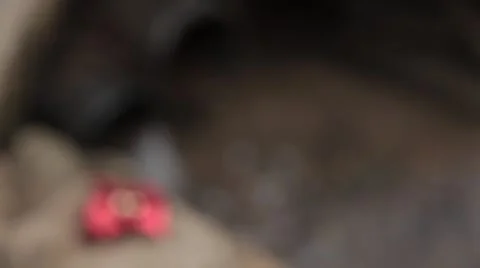 Two lovers heart lie close to the source of sewage. 動画素材 48590003