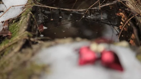 Two lovers heart lie on the snow. Stock Footage 48589544