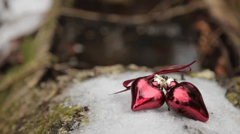 Two lovers heart lie on the snow in the woods. 動画素材 48589583
