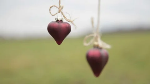 Two lovers hearts hanging on the background of green field 動画素材 48591291