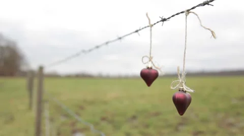 Two lovers hearts hanging on the barbed wire in perspectiva Stock Footage 48591450