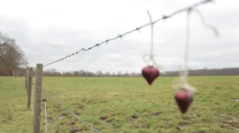 Two lovers hearts hanging on the barbed wire 動画素材 48591720