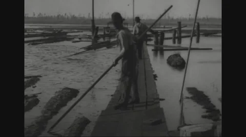 Two lumberjacks working in lumberyard Video stock 43310333