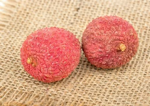Two lychee fruit Stock Photos