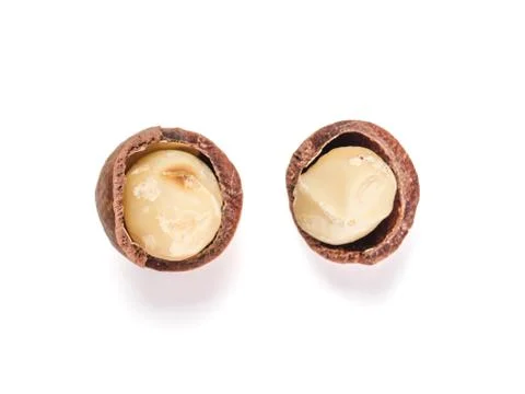 Two macadamia nuts with open shells isolated 스톡 사진