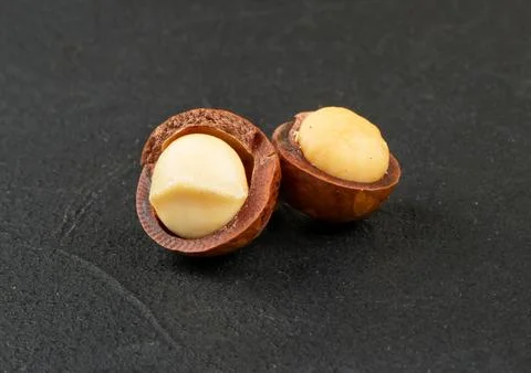 Two macadamia nuts Stock Photos