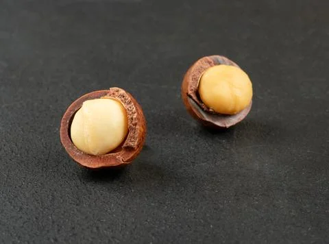 Two macadamia nuts Stock Photos