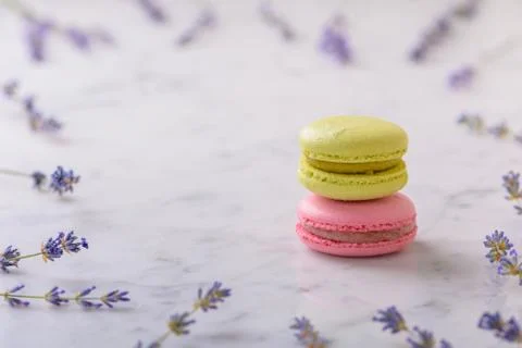 Two macarons on white marble table and sprigs of lavender laid out around mac Stock Photos