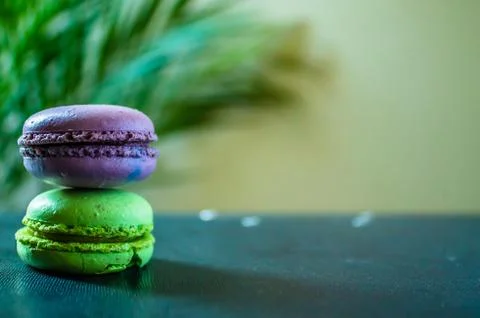 Two macaroons cookies on a dark background with a palm tree at the back. Copy Stock Photos