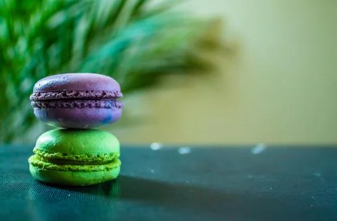 Two macaroons cookies on a dark background with a palm tree at the back. Copy Stock Photos
