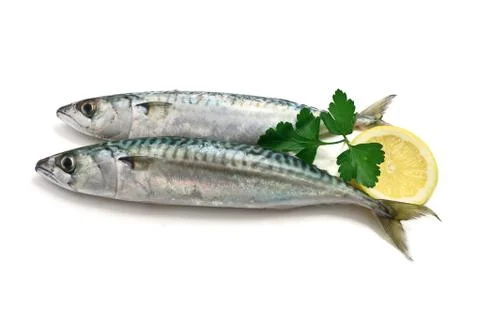 Two mackerel with lemon Stock Photos