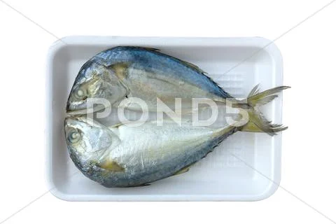 Two mackerel Stock Photos