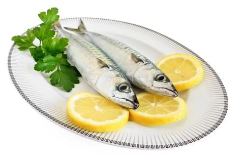 Two mackerels on a plate Stock Photos