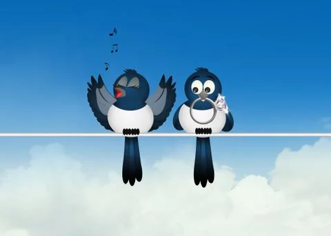 Two magpies Stock Illustration