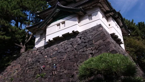 Two maintenance workers abseiling and cleaning the ancient stone walls Video stock 337182781