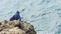 Two male teenagers fishing on the seaside cliff, hobby and relaxation, nature HD Footage